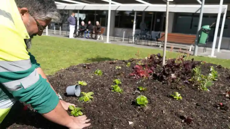 elkarkide-jardineria-h